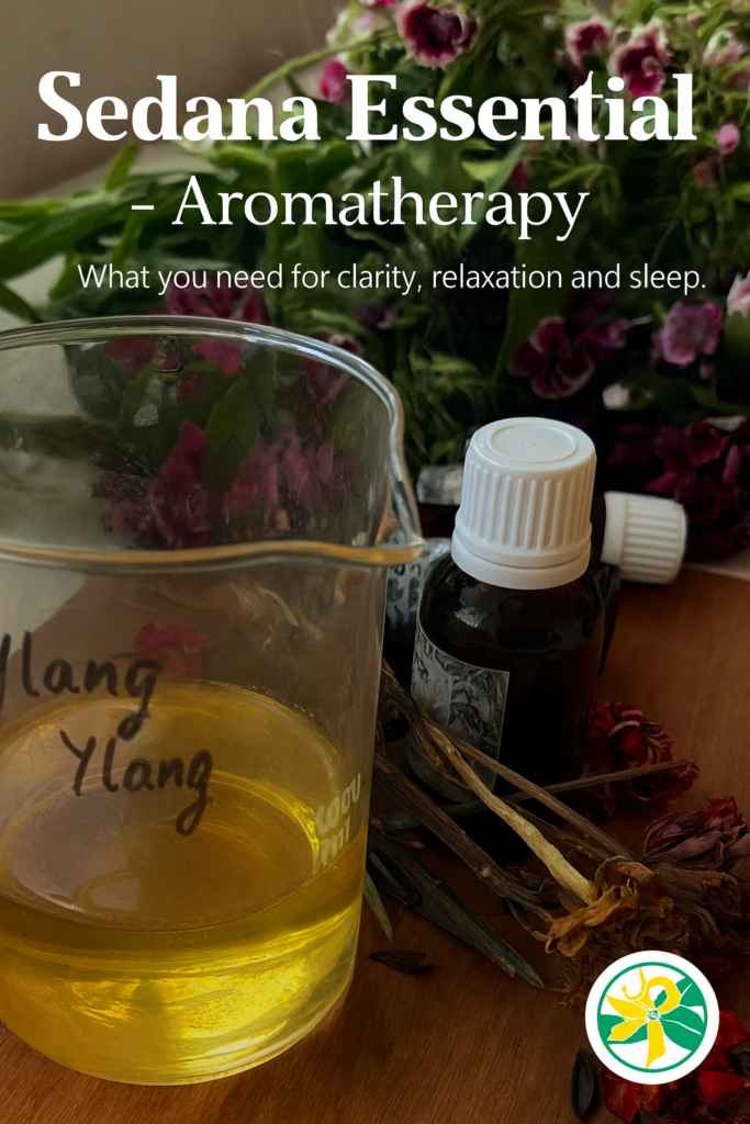 sedana atelier photo meilleure pour facebook